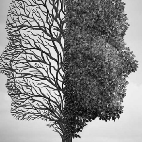 抑郁程度专业测评